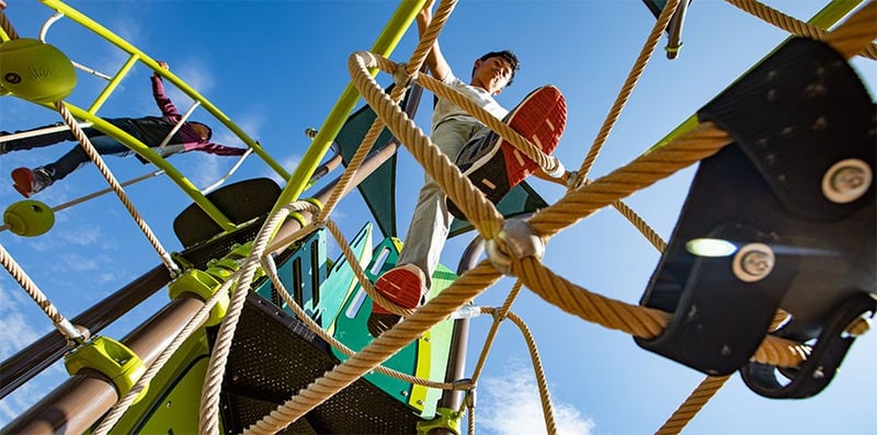Tree Tops preview 7